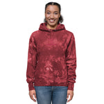 Unisex Champion Worth More Than I Have tie-dye hoodie